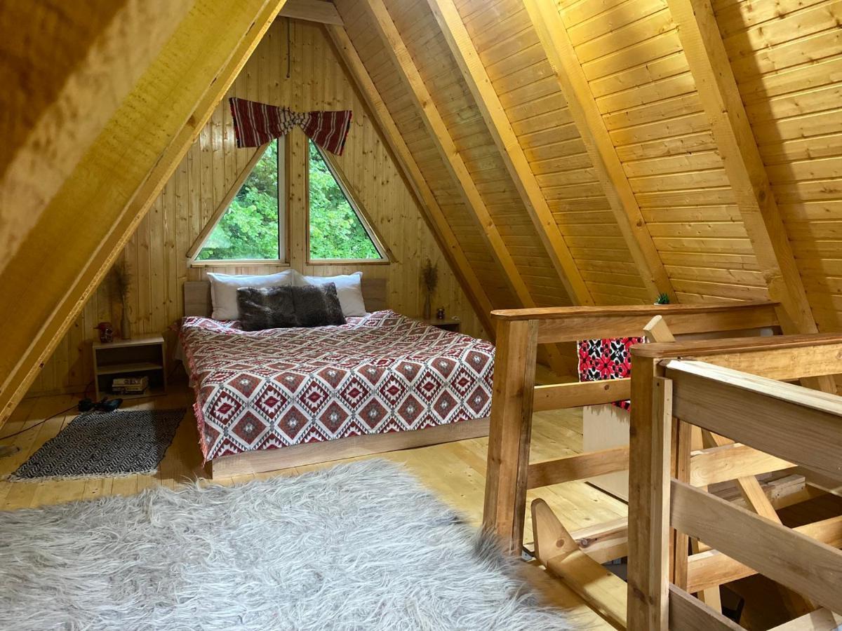 Villa Cabanutze Satic à Rucăr Extérieur photo