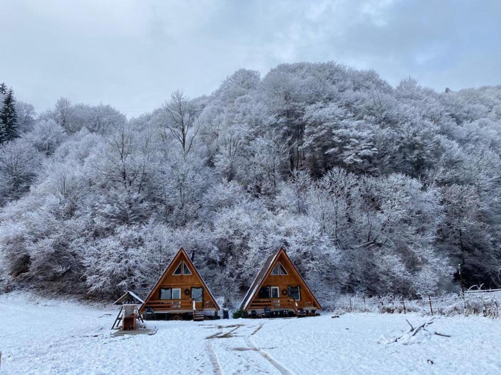 Villa Cabanutze Satic à Rucăr Extérieur photo