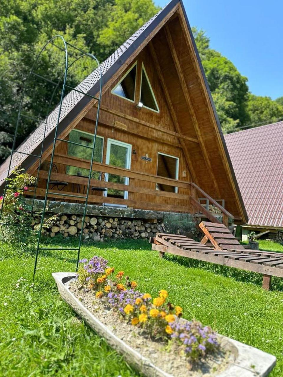 Villa Cabanutze Satic à Rucăr Extérieur photo