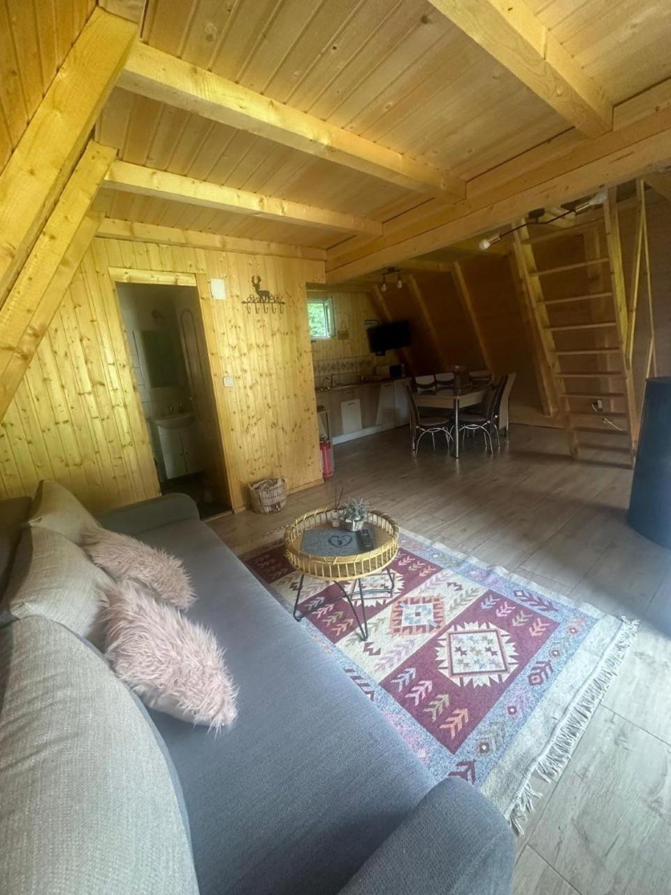 Villa Cabanutze Satic à Rucăr Extérieur photo