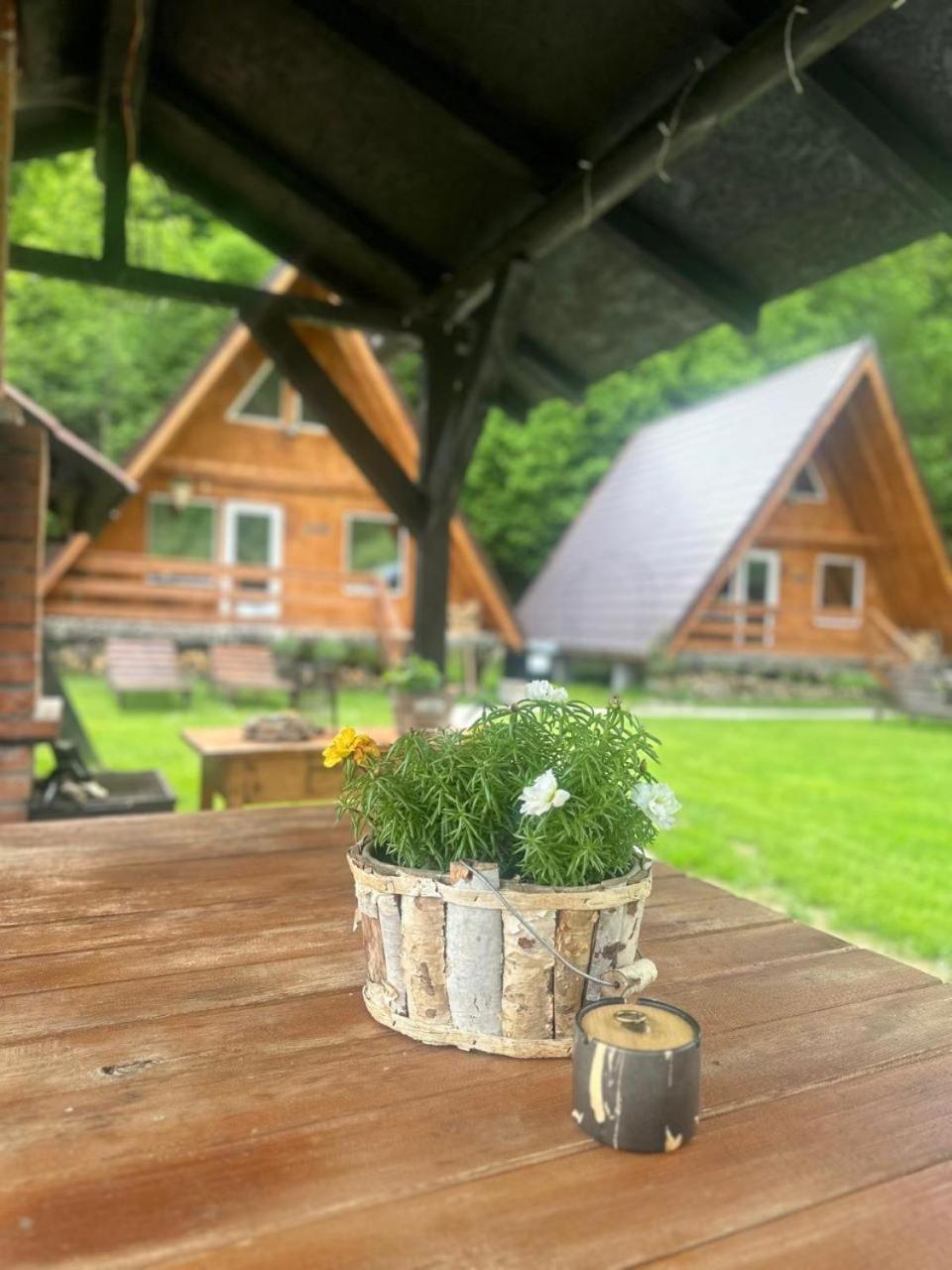 Villa Cabanutze Satic à Rucăr Extérieur photo