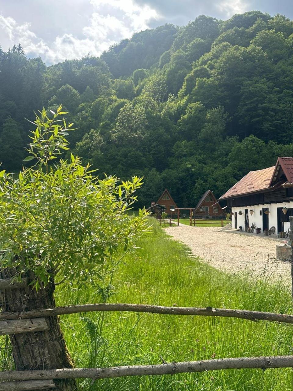 Villa Cabanutze Satic à Rucăr Extérieur photo