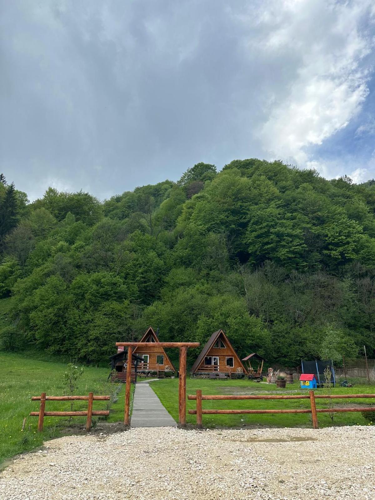 Villa Cabanutze Satic à Rucăr Extérieur photo
