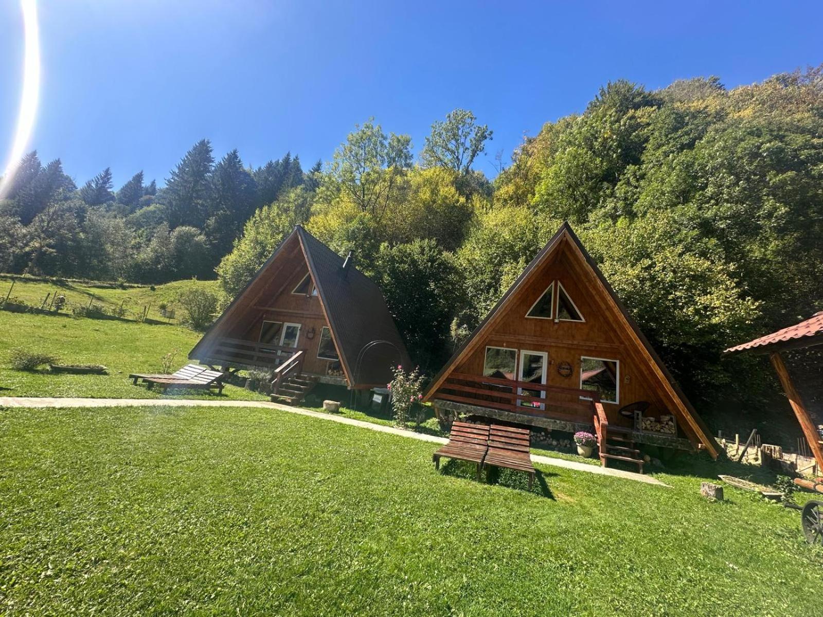 Villa Cabanutze Satic à Rucăr Extérieur photo
